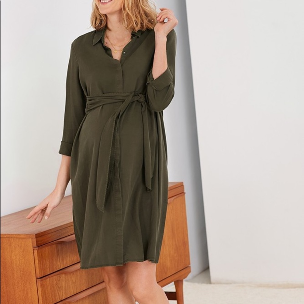 Isabella Oliver “Aiden” Maternity Dress